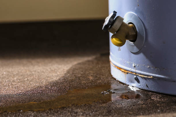 Best Water damage restoration near me  in Box Elder, SD