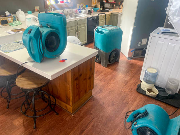 Best 24/7 water damage repair  in Box Elder, SD