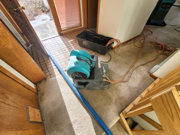 Best Ceiling water damage repair  in Box Elder, SD