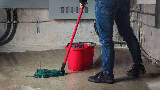 Best Basement water damage restoration  in Box Elder, SD