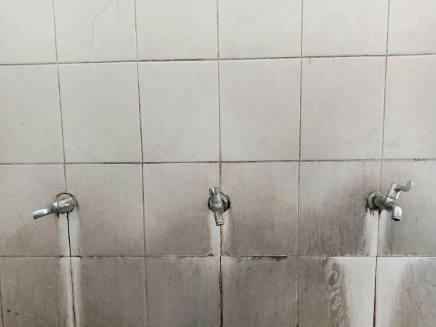 Reliable Box Elder, SD Water damage restoration Solutions