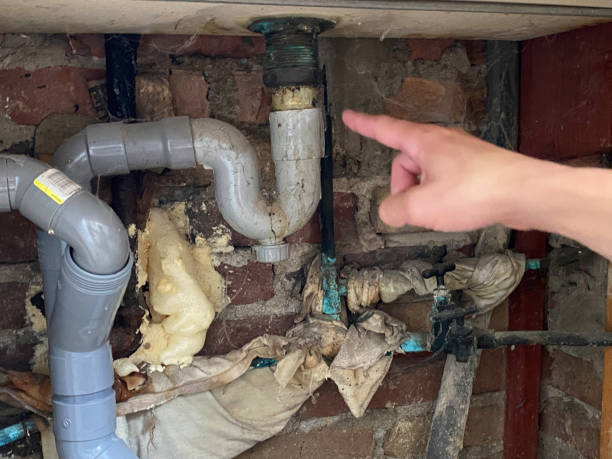 Best Carpet water damage restoration  in Box Elder, SD