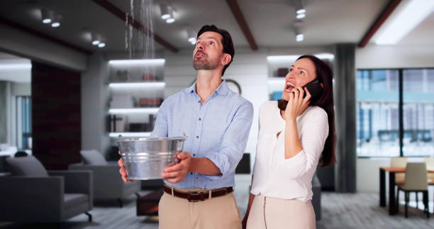 Best 24-hour water damage restoration  in Box Elder, SD
