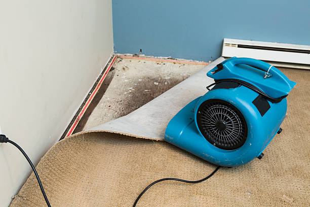 Best Fire Damage Restoration  in Box Elder, SD